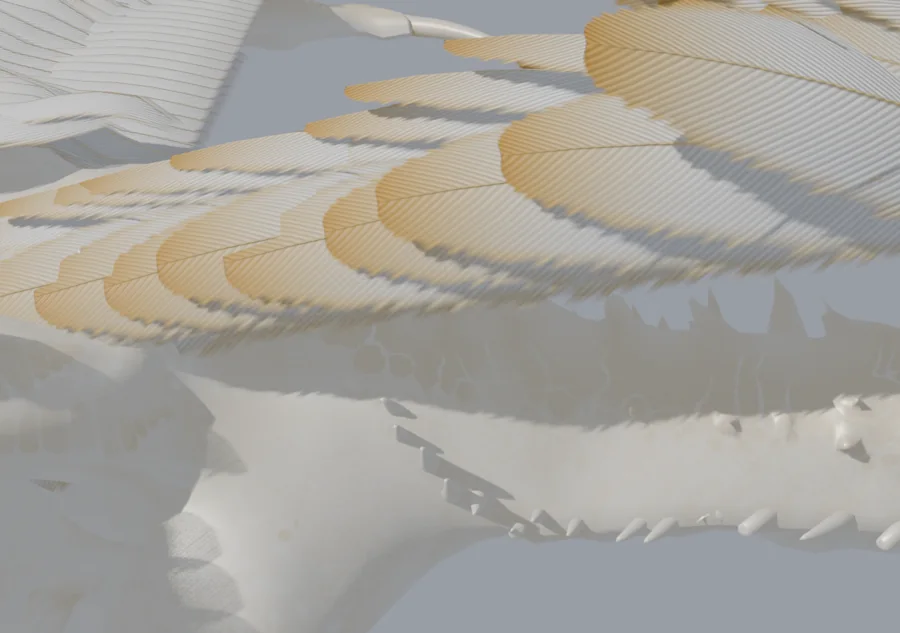 Dragon neck with the first feathers